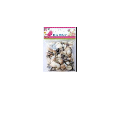 Manufacturers Exporters and Wholesale Suppliers of Sea Shells Asst Bengaluru Karnataka